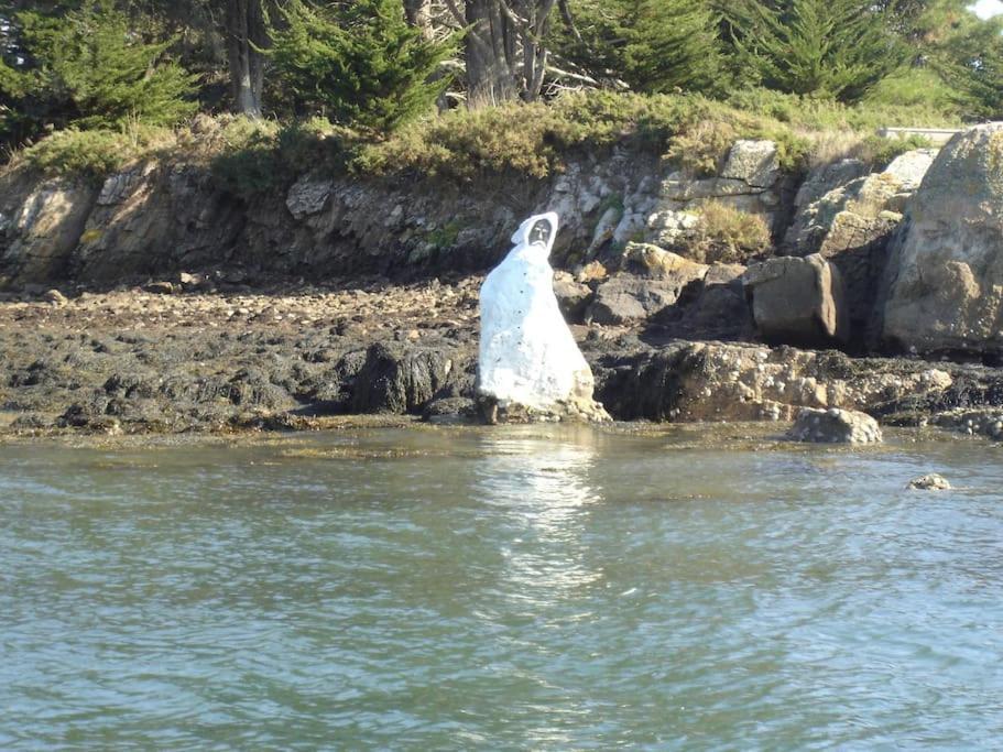 Vila Entre Golfe Et Ocean La Trinité-Surzur Exteriér fotografie